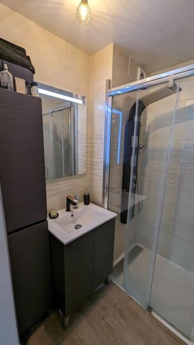Rez De Jardin Piscine Dans Appartement
