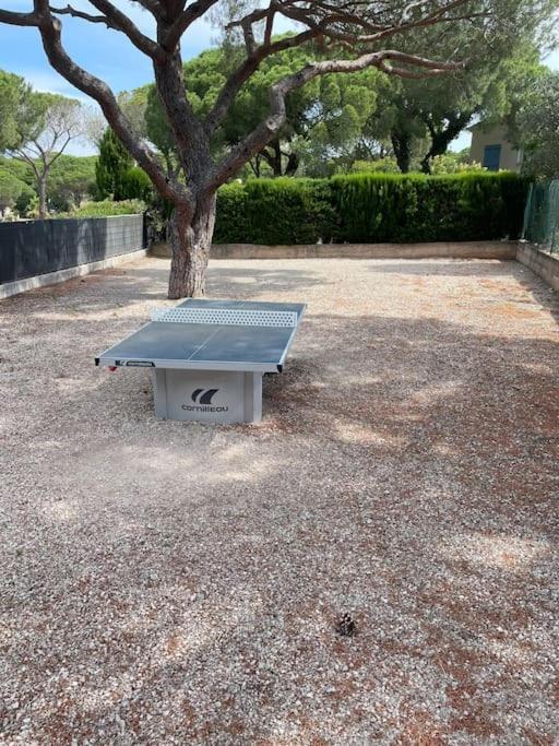 Rez De Jardin Piscine Dans * Fréjus